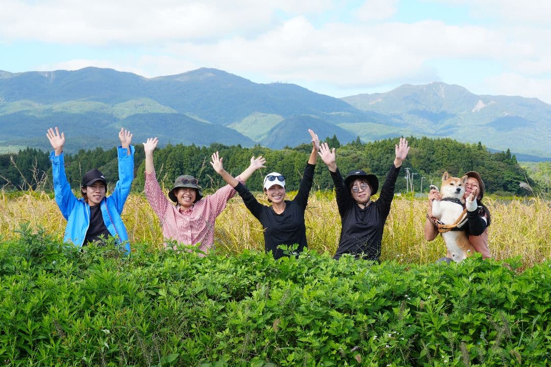 きよちゃん 季節のお野菜セット