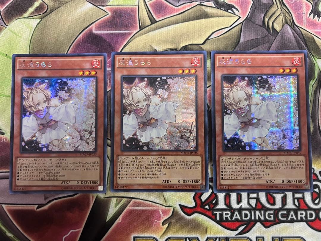 遊戯王　灰流うらら　MACR 初版　アジア版　シークレット　3枚