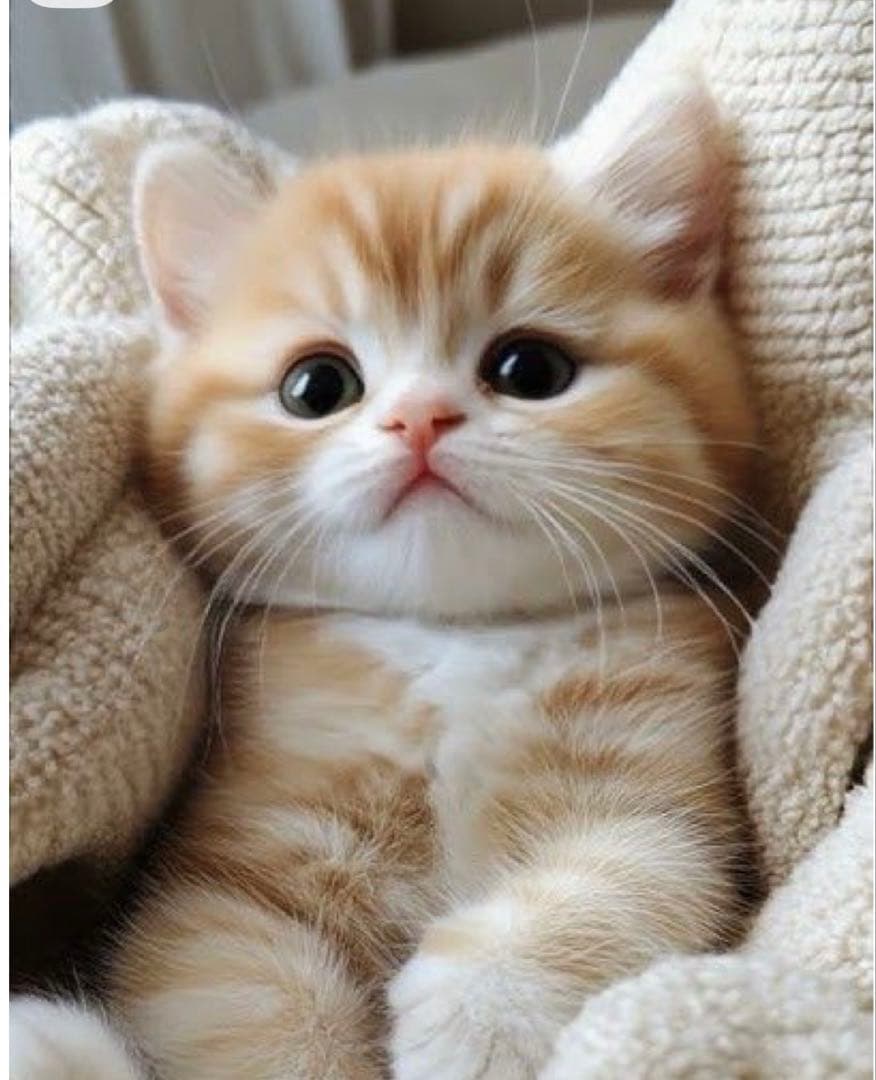 ✨専用ページ✨