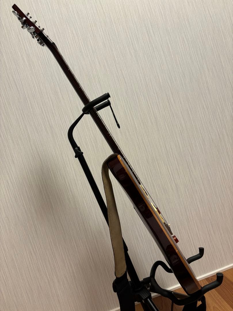 Paul Reed Smith (PRS) SE Custom 24サンバースト