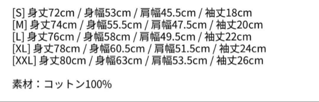 レディーガガ　CAMEO SS TEE Mサイズ