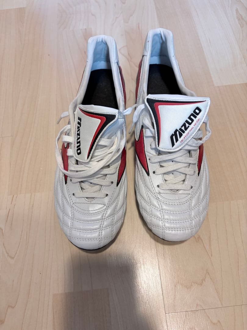 モレリアウェーブ　取り替え式　２６センチ