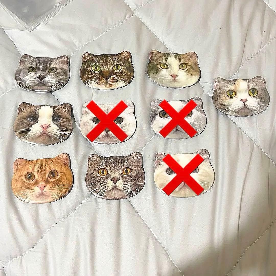 猫カフェmocha モカにゃんず猫型缶バッジ アルシェ大宮店