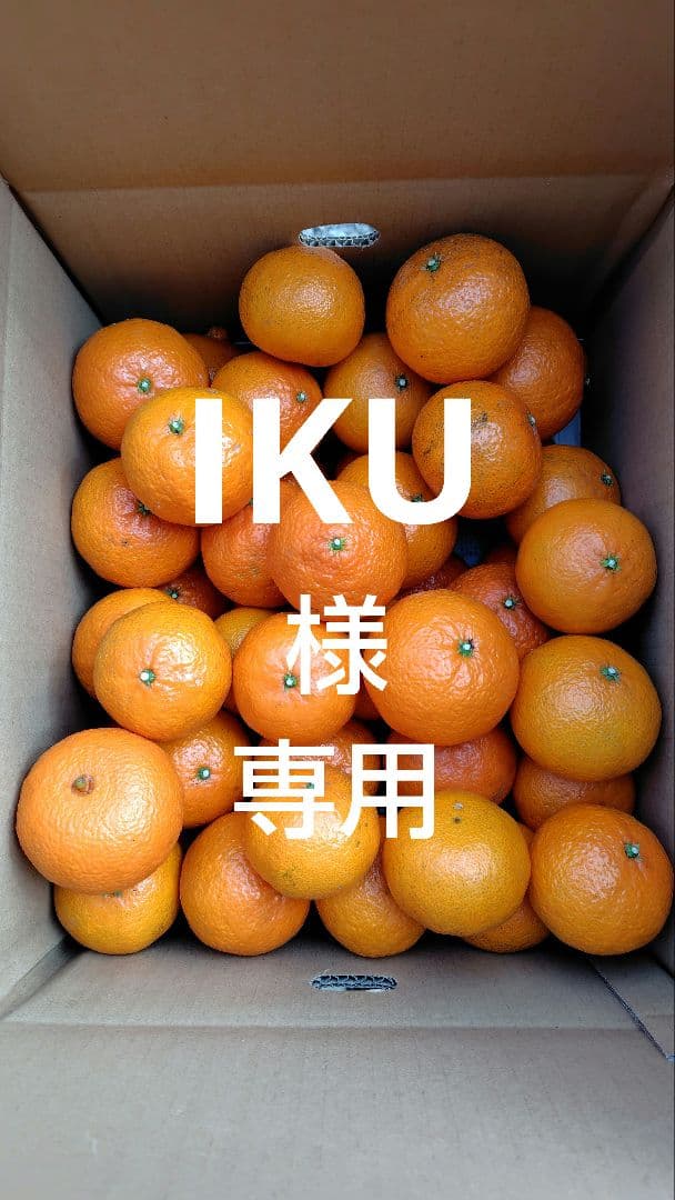 津之輝20㎏(家庭用)IKU#1