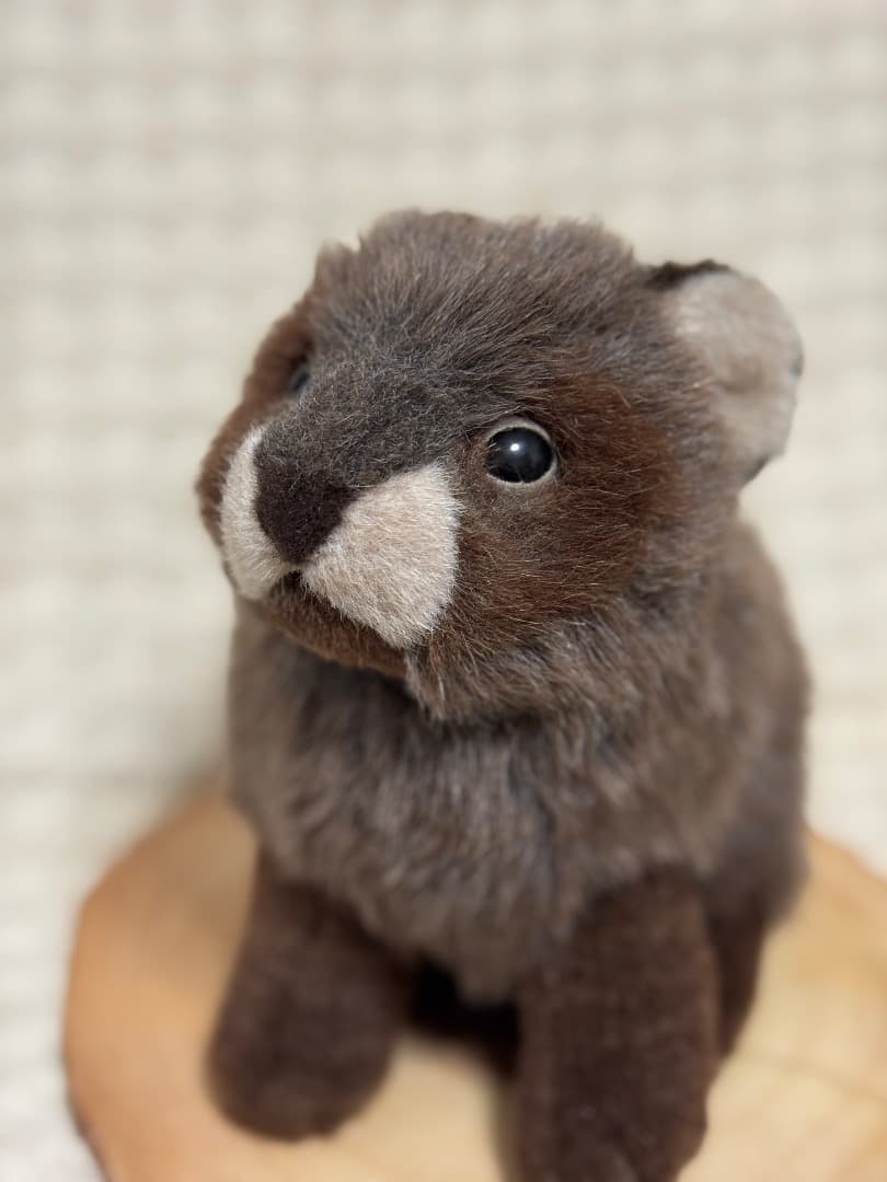 【最終値下】やまね工房　たぬき　タヌキ　ぬいぐるみ　日本製