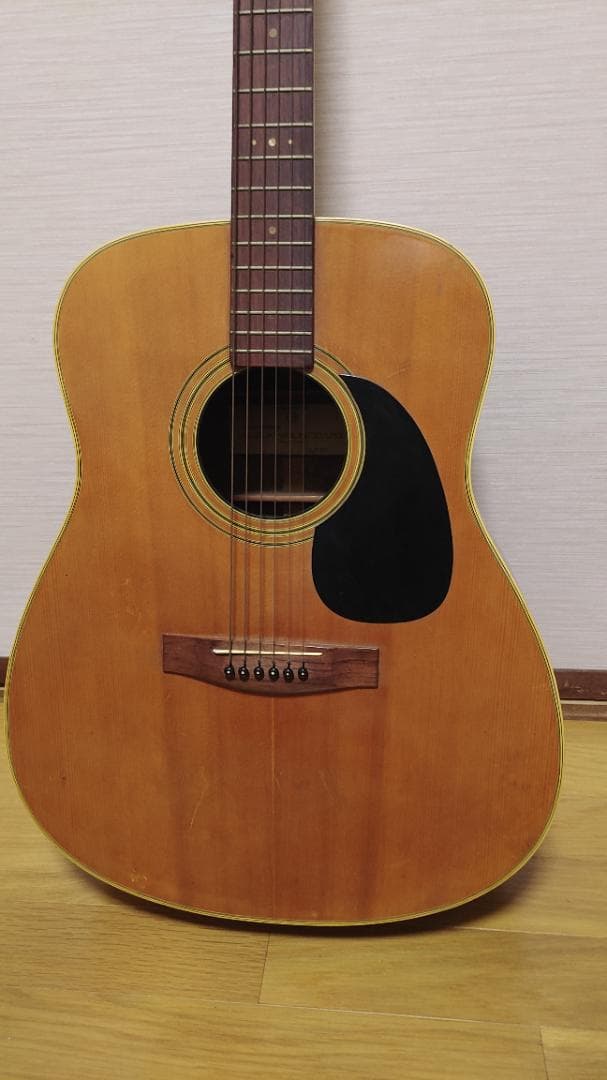 ギター Suzuki F-150