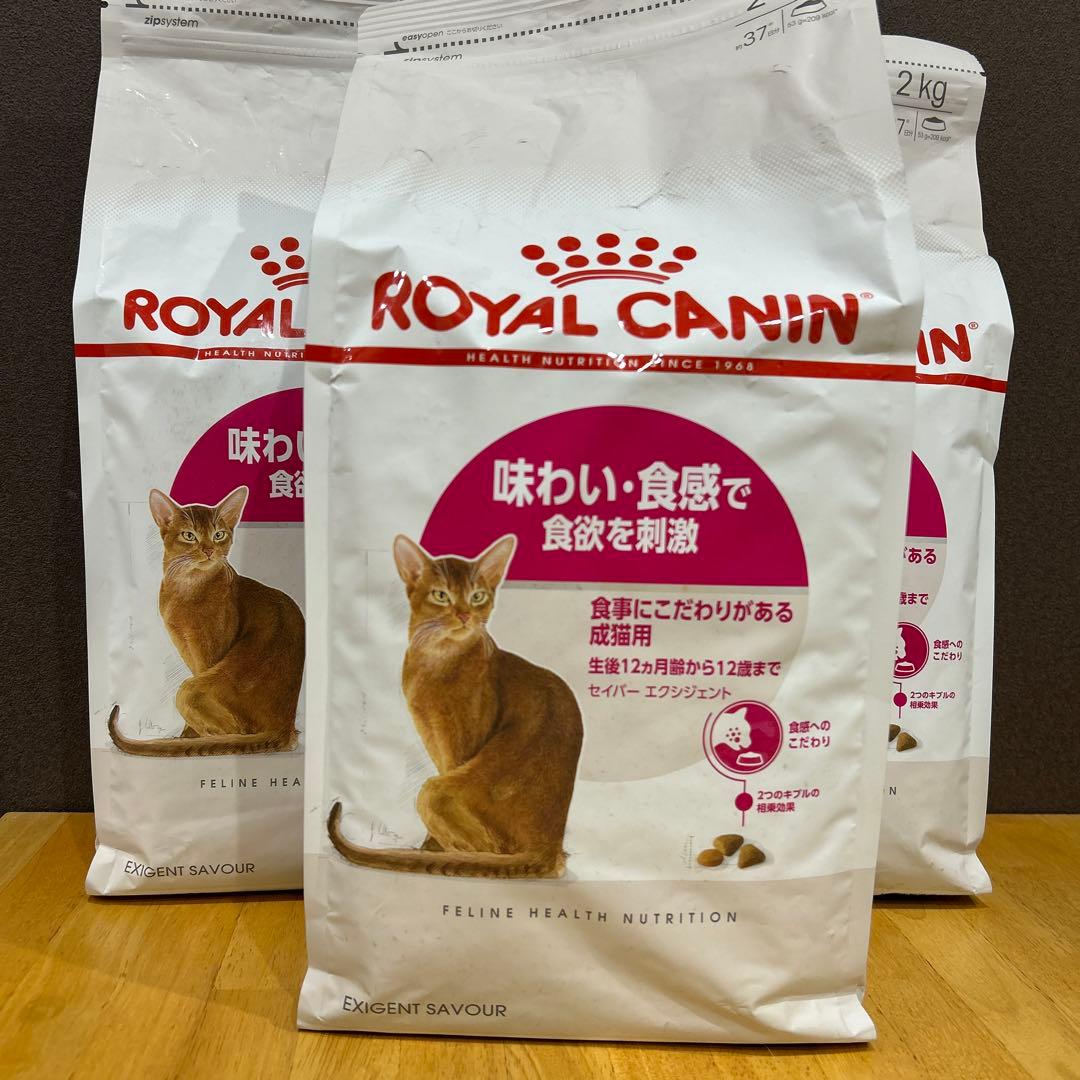 P*E様 セイバーエクシジェント 2kg×3袋  CANIN