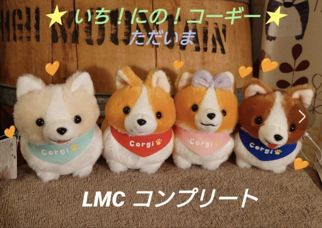いち！にの！コーギー ただいま  LMCコンプリート