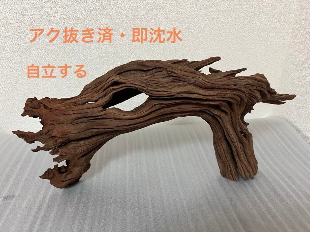 HX-062流木　ホーンウッド　マシンガンウッド　アクアリウム　ブランチウッド