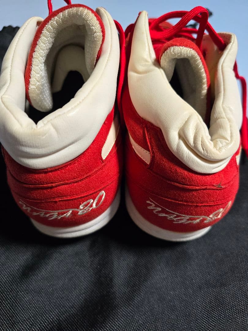 ミズノプロ広島Carpプロ仕様スパイク未使用品 29cm