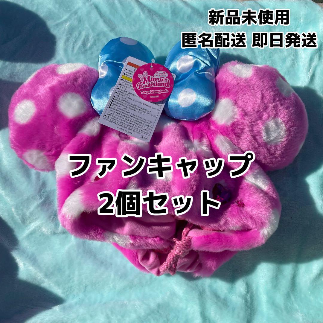 【即日発送】ディズニー パルパルーザ ミニーのファンダーランド ファンキャップ