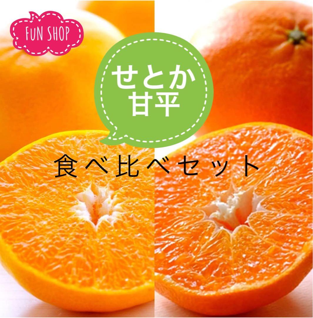 甘平・せとか(5kgx2箱)食べ比べセット⚠ご家庭用