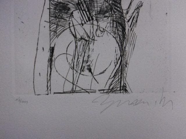 シマンスキー　菅井汲　8点入『パブリック・ローズ：ブルスバーグ文書』0723ZC