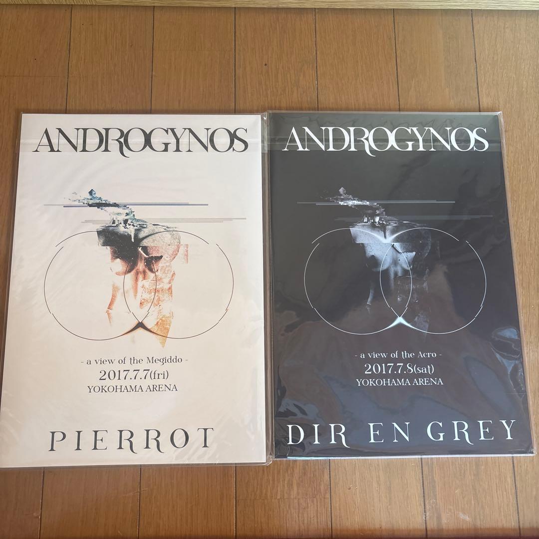 ANDROGYNOS DIR EN GREY PIERROT パンフレット