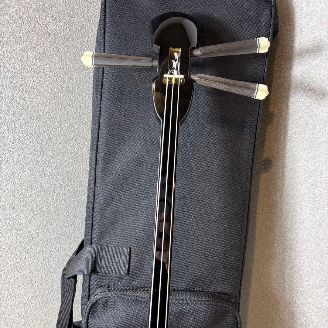 【極美品】沖縄三線 蛇皮 本革 民謡楽器 民謡 和楽器 三線 付属品多数