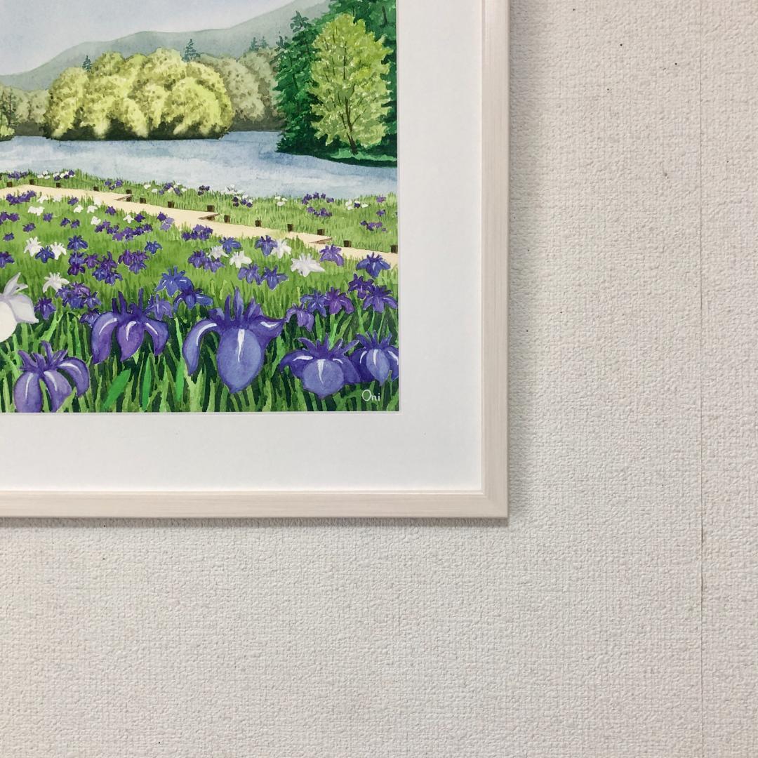 透明水彩画　原画　「カキツバタの咲く水辺」額縁付　F6サイズ　風景画