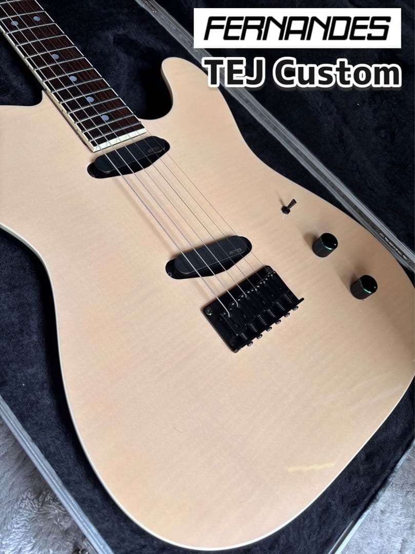 激レア品！FERNANDES TEJ Custom イベント出展品