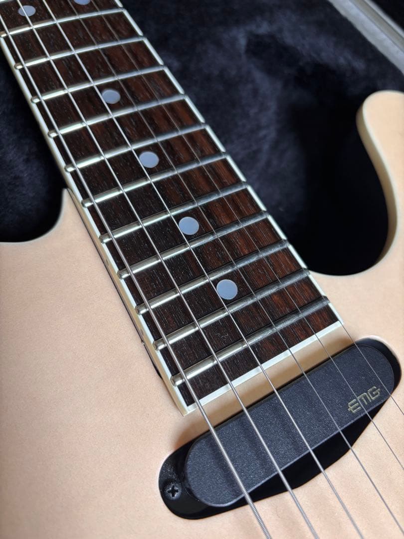 激レア品！FERNANDES TEJ Custom イベント出展品