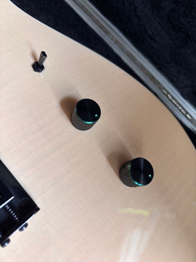 激レア品！FERNANDES TEJ Custom イベント出展品