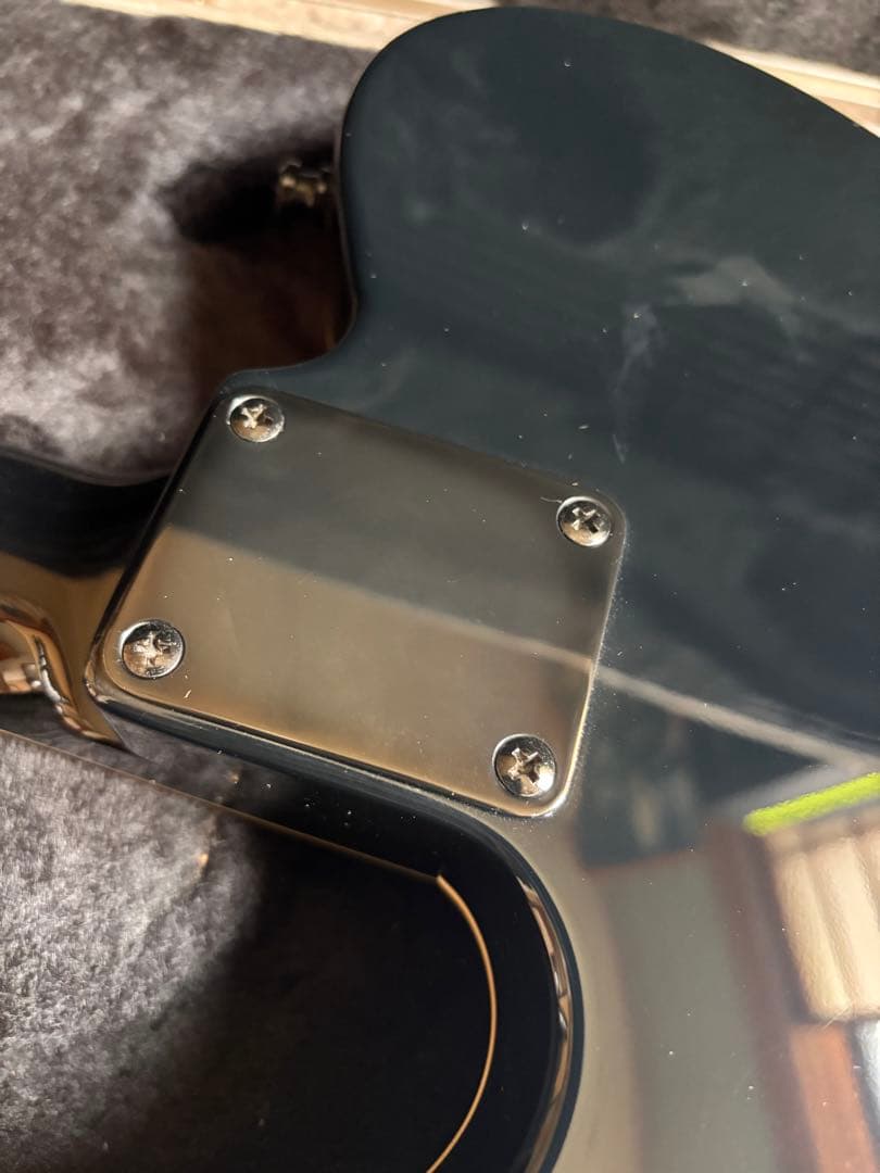 激レア品！FERNANDES TEJ Custom イベント出展品