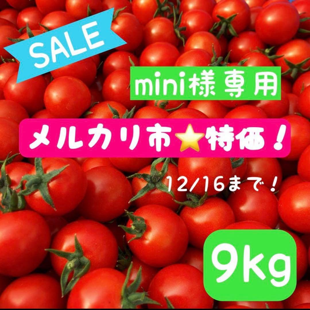 【mini】ミニトマト9kg ⭐️12/19午前着