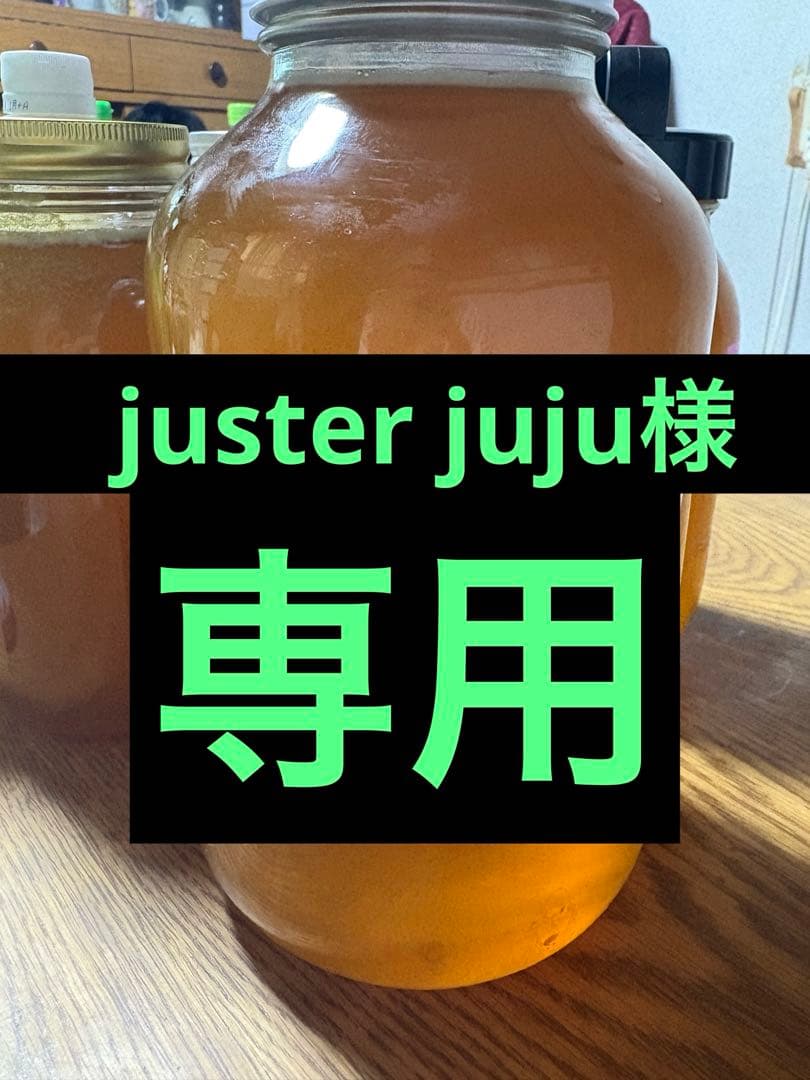 日本蜜蜂のハチミツ