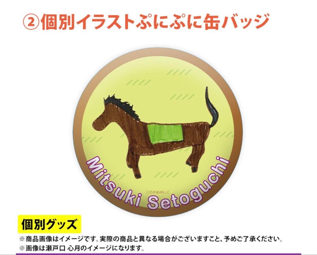 乃木坂46 2026年福袋A B C 19点　大越ひなの