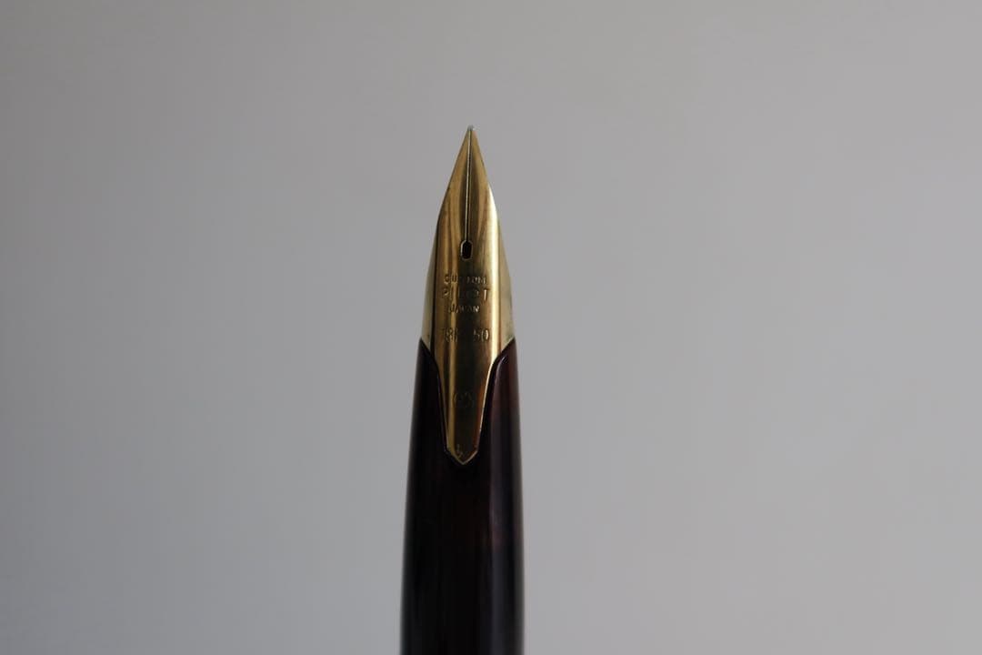 ペン先ご確認用 万年筆 パイロットエリート PILOT ELite 18K750