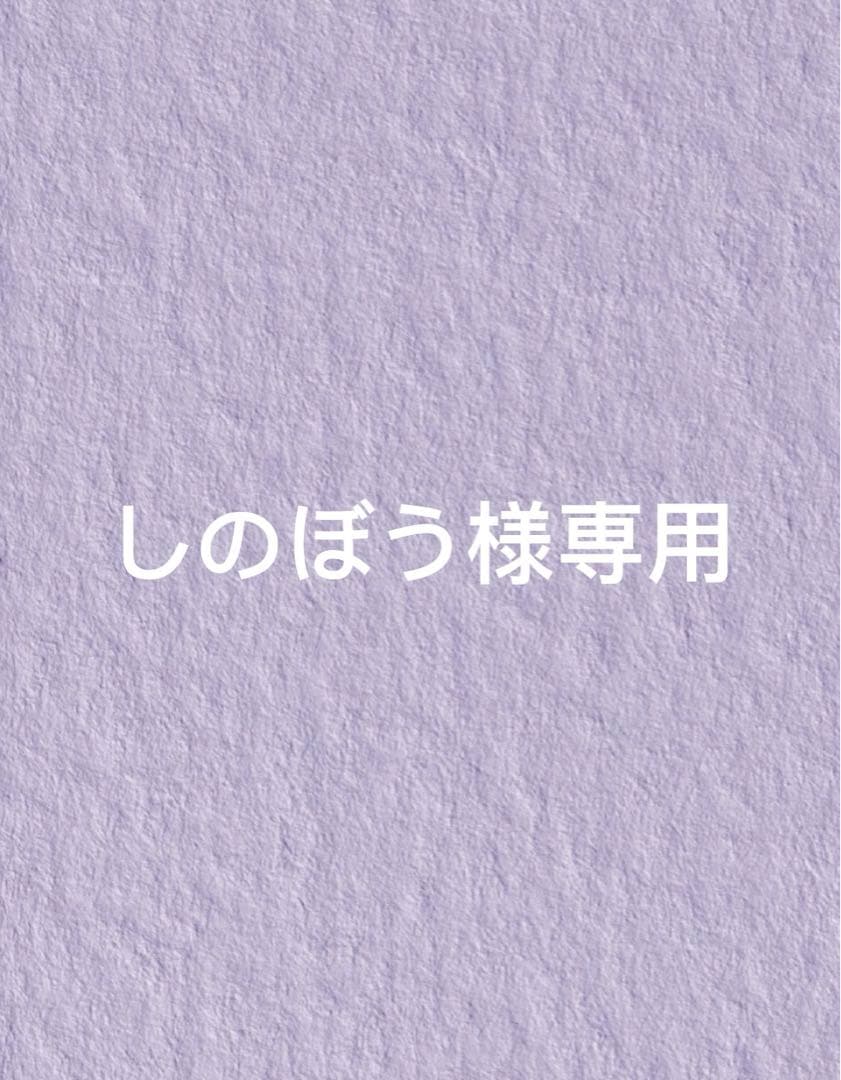 enhypen ジョンウォン ぬいぐるみ　10cm マスター　⑨