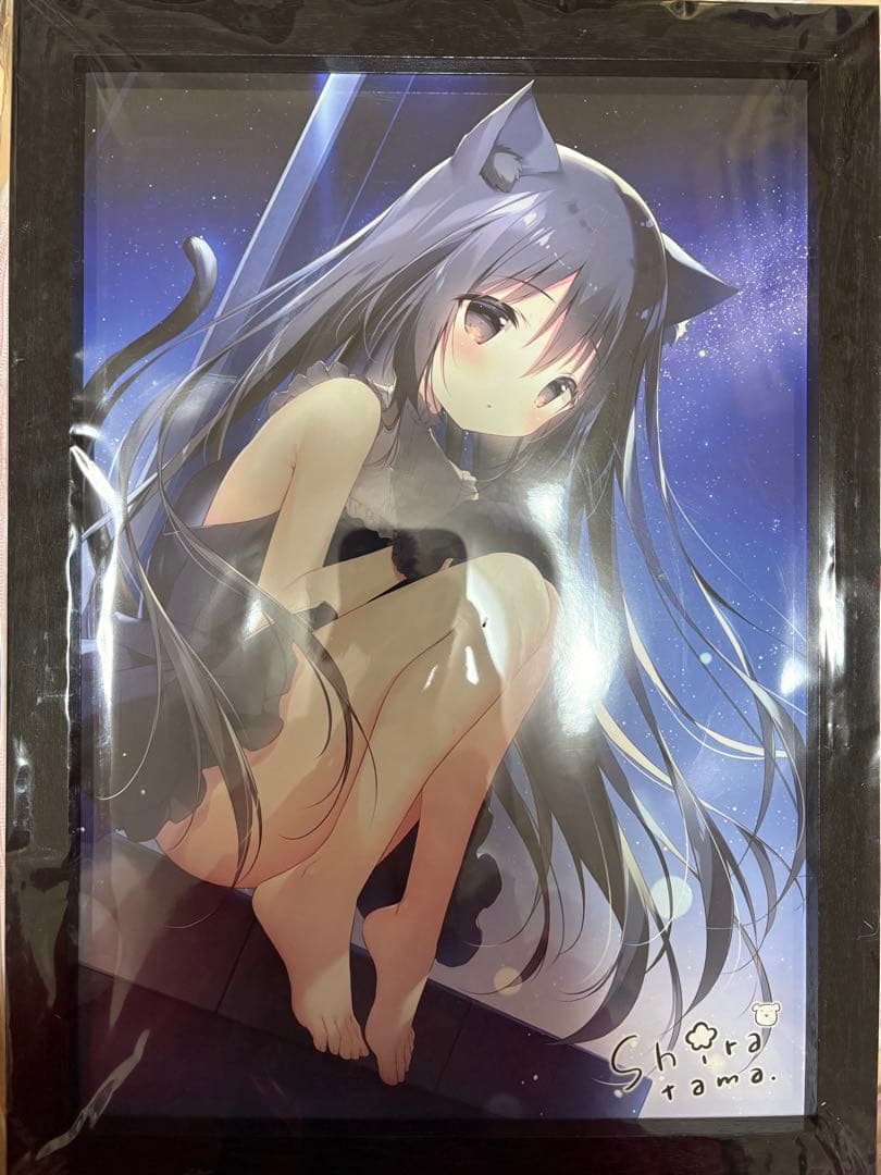 星空鉄道とシロの旅 板上サイン ミニアートグラフ　ノワール しらたま　しらたまこ