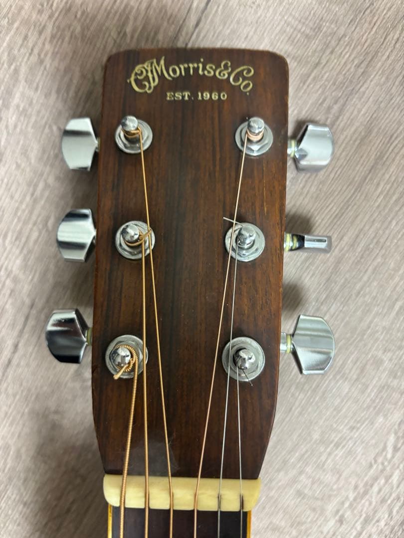Morris & Co. アコースティックギター W 50 H