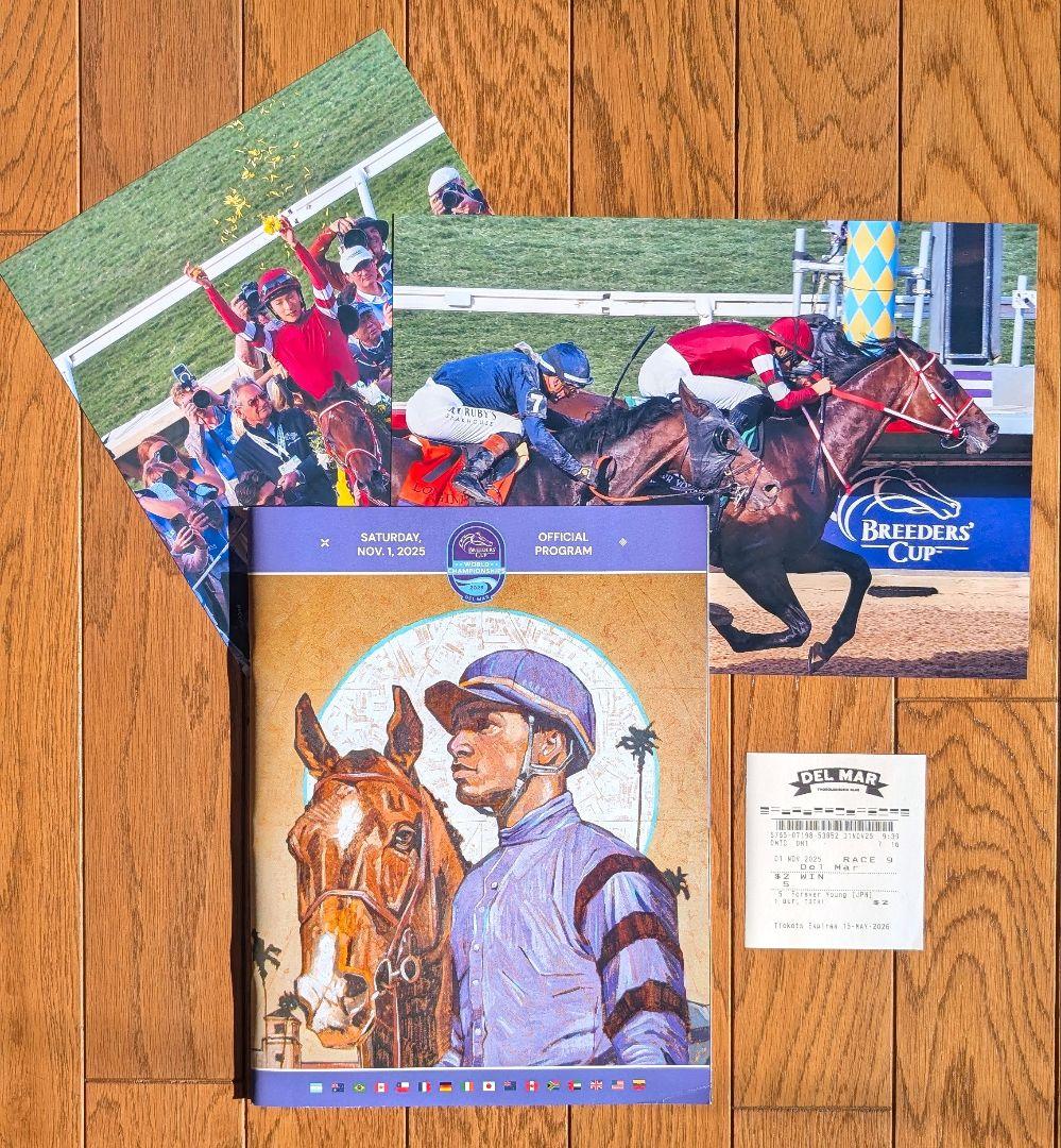 フォーエバーヤング BCクラシック 単勝馬券 パンフレット 写真セット