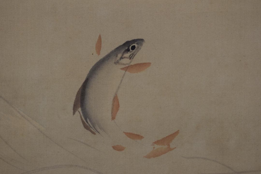 【真作】若林松渓/松渓谷/鮎之図/楓枝登鮎図/掛軸☆宝船☆Z-117