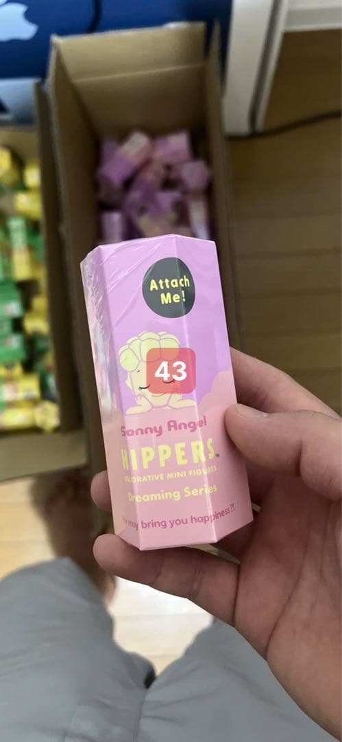 ソニーエンジェル ヒッパーズ ドリーミング 43個セット hippers