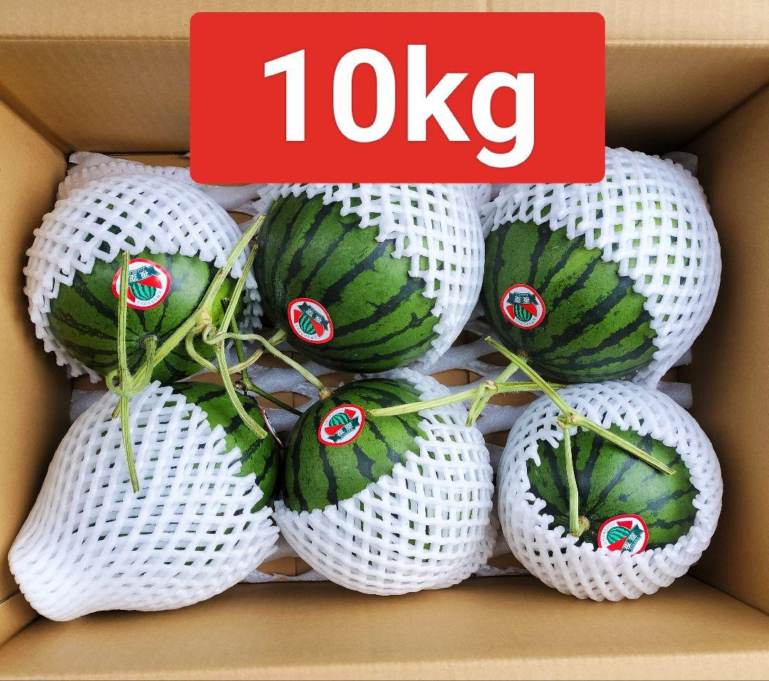 ド*ん様 高知産　約１０ｋｇ　温室栽培スイカ　６玉　秀品　北海道沖縄発送不可