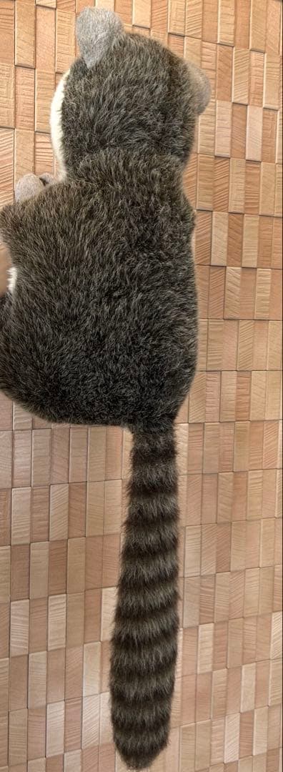 ファースト社 アライグマ ぬいぐるみ（ヒゲなし）