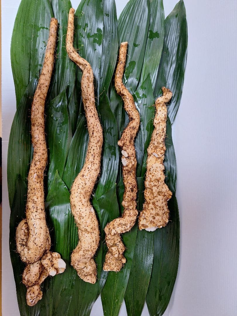 天然自然薯　2・7kg