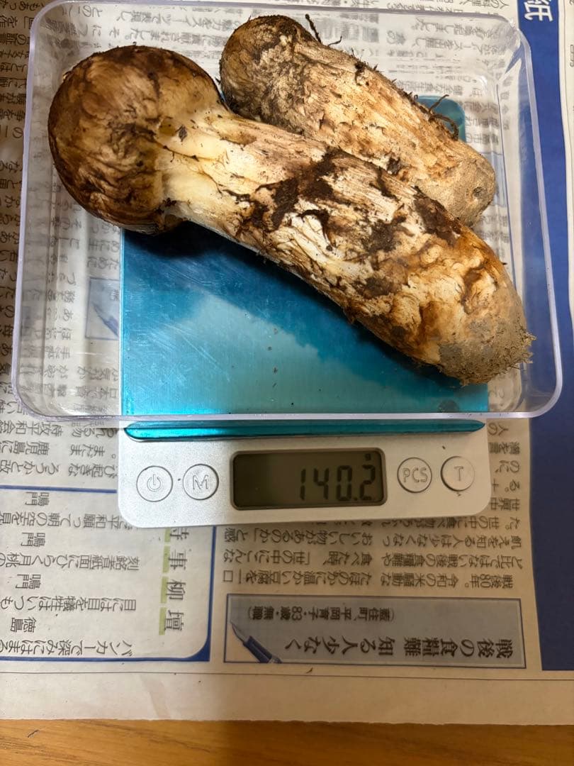 【極上】　国産松茸　　140g 徳島県産