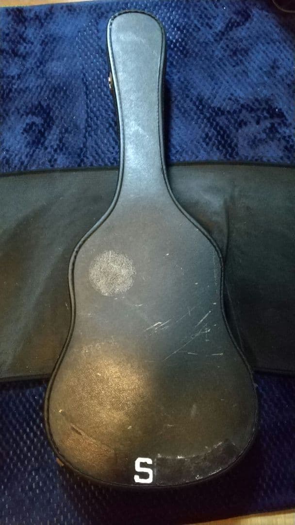 アコースティックギター James JF350 ハードケース、ピックアップ付