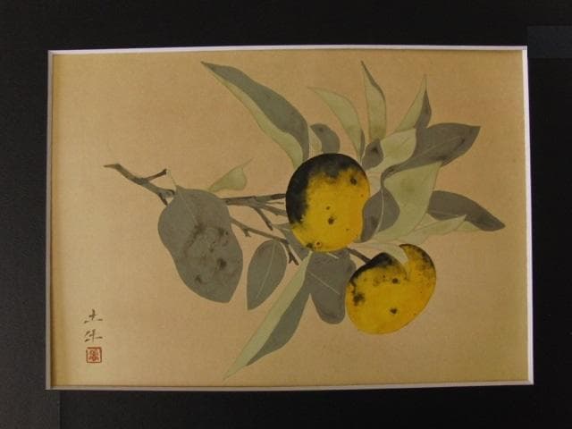 奥村土牛、【みかん】、希少な大判額装用画集より、新品高級額装付、豪華限定版