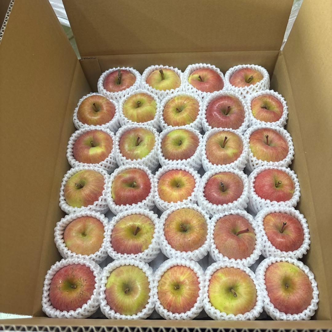 ぽん太　　ジュース用2箱　リーガル1箱