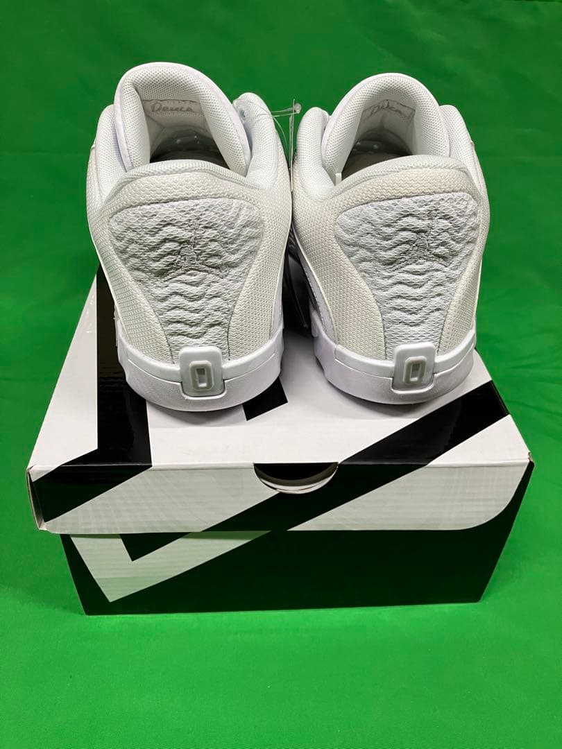 ナイキ テイタム 2 PFホワイト/グレーフォグ/グレーフォグ 26.5