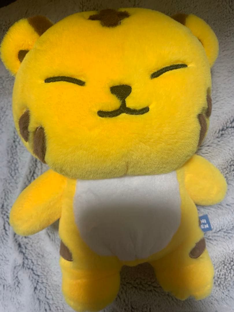 公式　ミニティーン　MINITEEN タムタム　ホシ