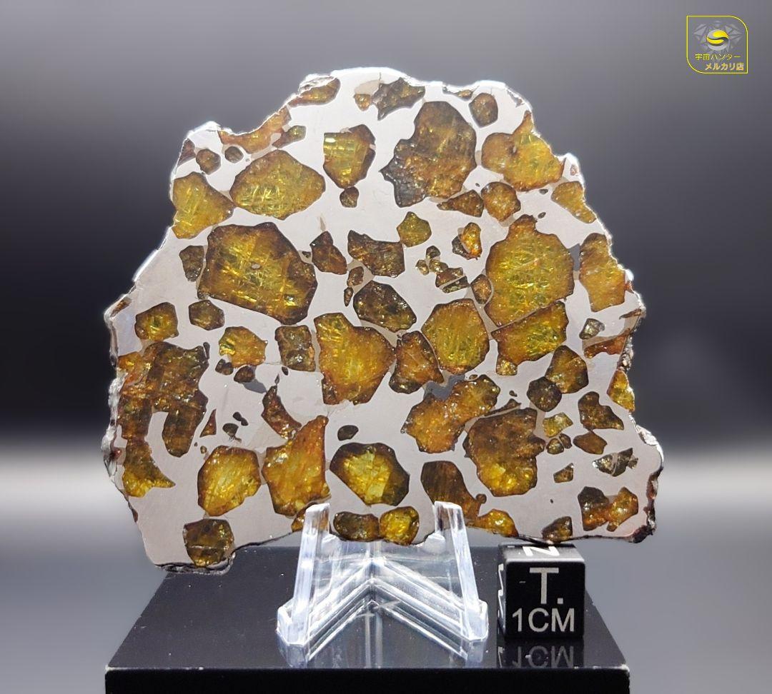 ★51.38g イミラック パラサイト 隕石 Imilac⭐⭐⭐