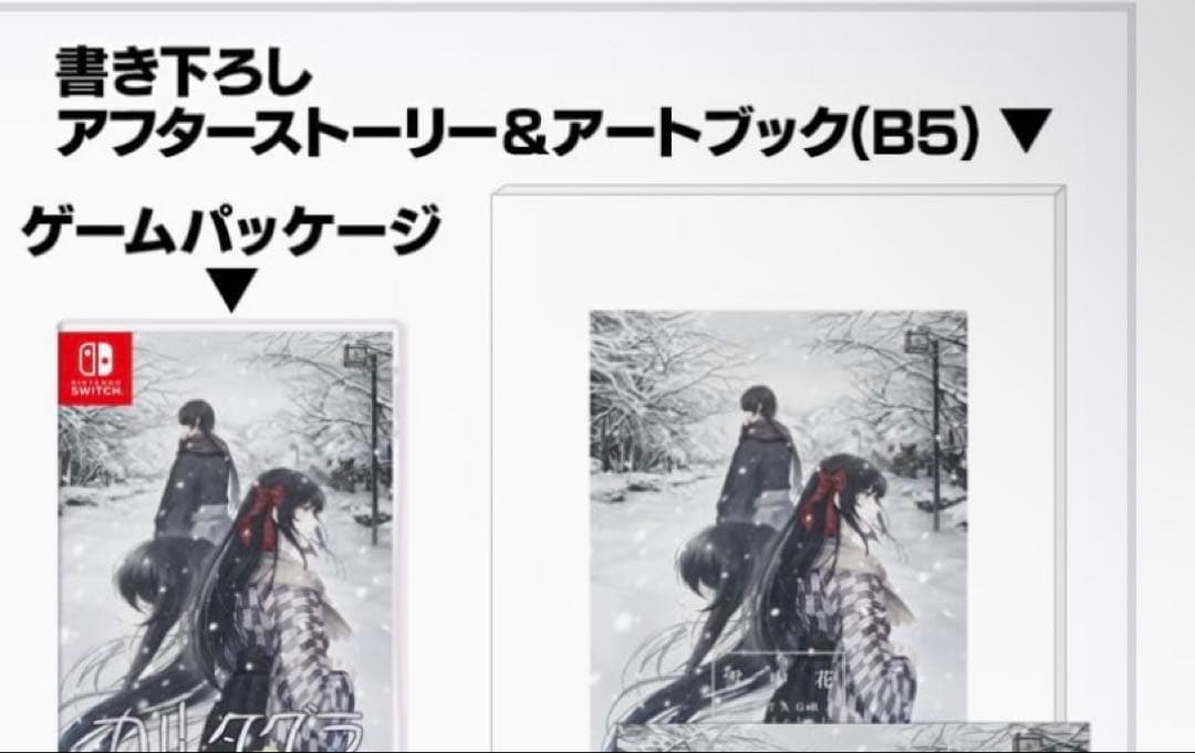 カルタグラ 初回限定版　書き下ろしアフターストーリー＆アートブック