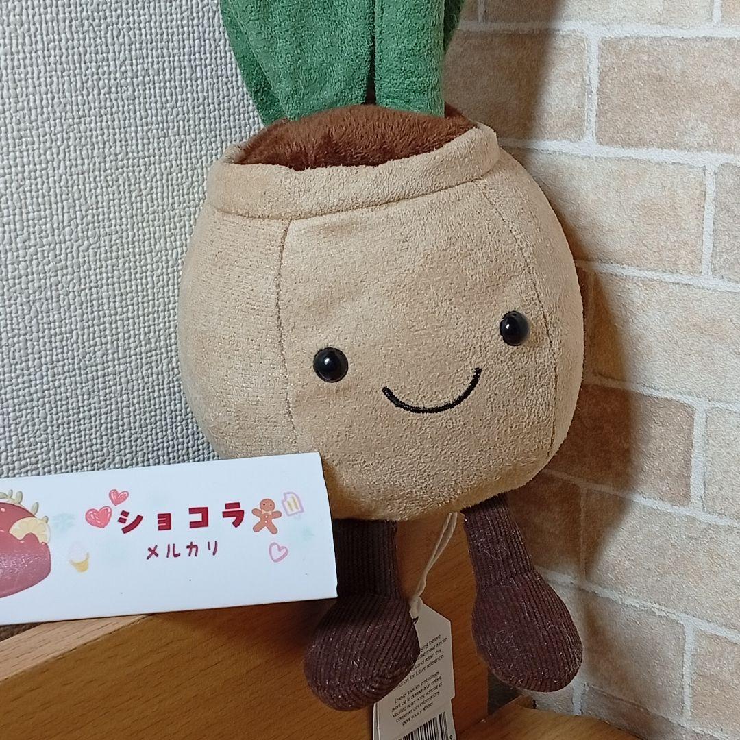  tulip pot　ジェリーキャット　チューリップ 花 植木鉢