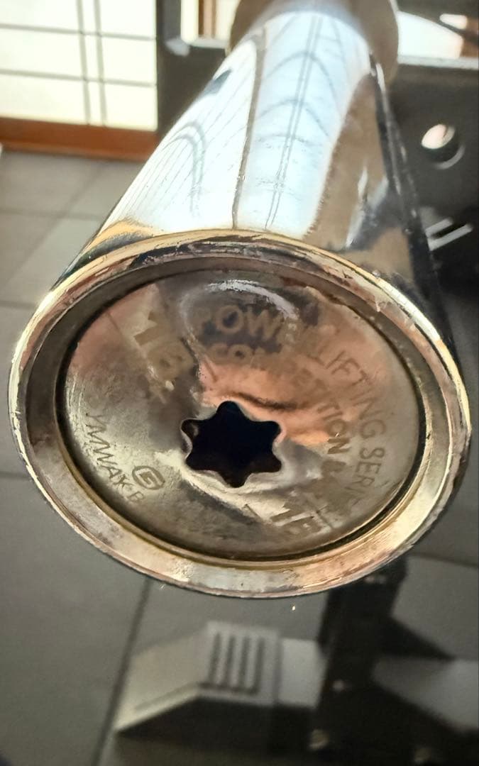 毛朱界です。　ショートスリーブパワーバー