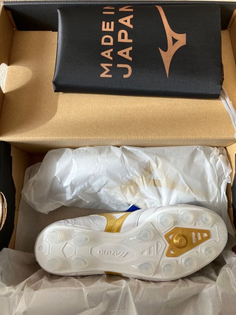 モレリア2 JAPAN 23cm