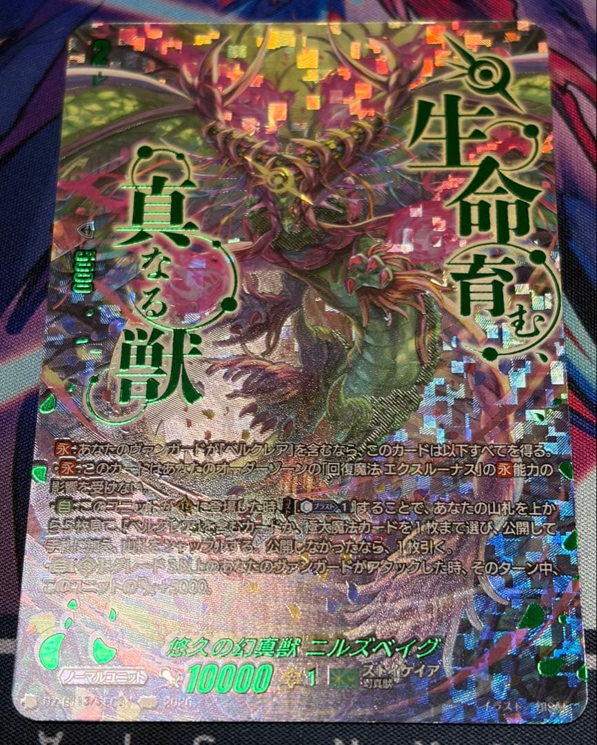 ヴァンガード ニルズベイグ　sec ベルクレア