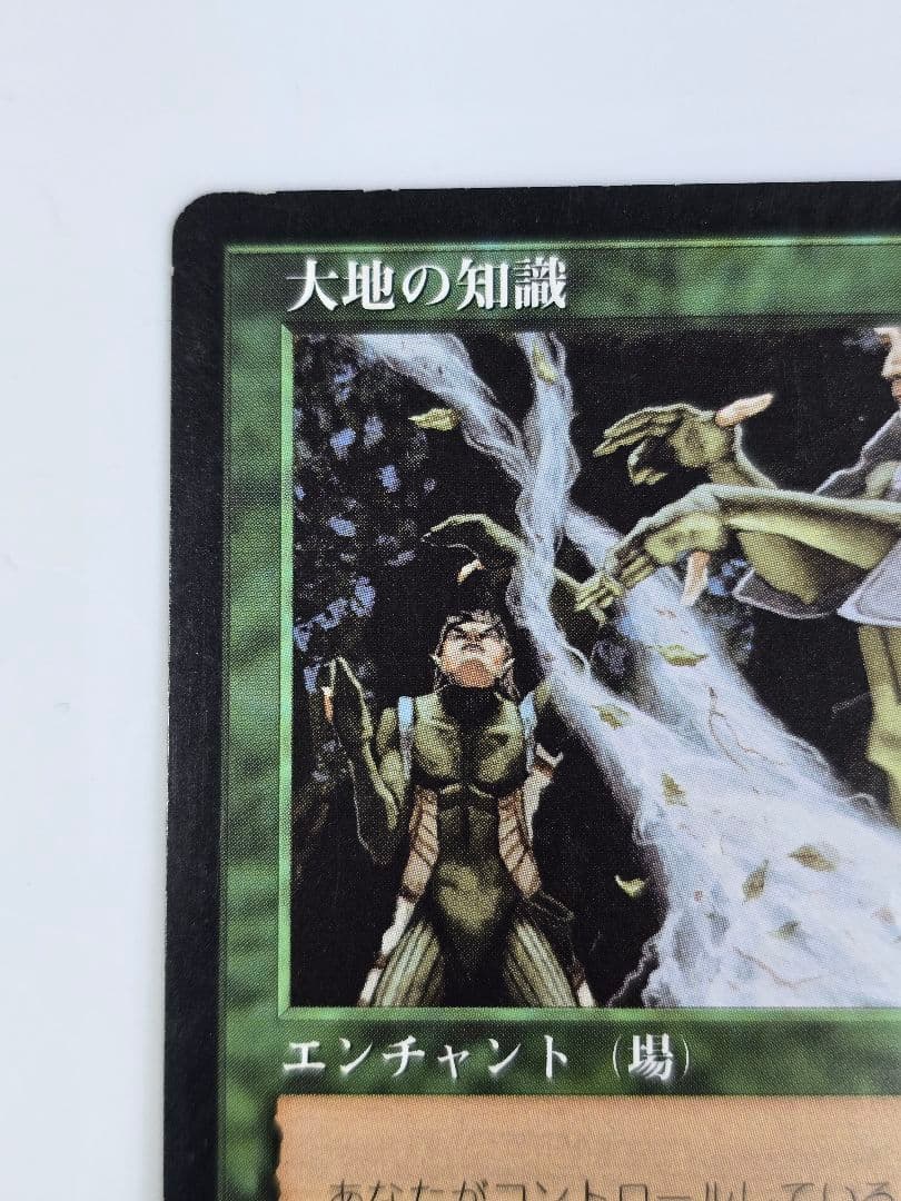 MTG 《大地の知識/Earthcraft》[TMP] 日本語